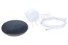 Google Google Home Mini