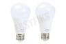 Trust ZRGB2-Z1R Zigbee Starter Set: 2 RGB Lampen + Z1 Zigbee Bridge