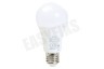 Trust ZRGB2-Z1R Zigbee Starter Set: 2 RGB Lampen + Z1 Zigbee Bridge