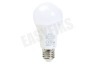 Trust ZLED-RGB9 Dimbare E27 LED Lamp RGB
