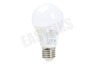 Trust ZLED-2209 Dimbare E27 LED Lamp Flame Wit