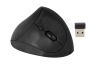 Ewent EW3150 Draadloze Ergonomische Muis, Rechtshandig