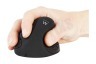 Ewent EW3150 Draadloze Ergonomische Muis, Rechtshandig