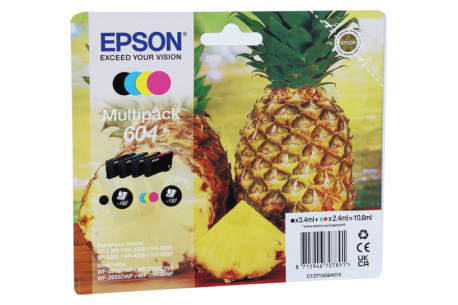 Epson  C13T10G64010 Epson 604 Multipack