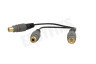 Tulp Splitter RCA Male - 2x Tulp Contra RCA Female 20cm